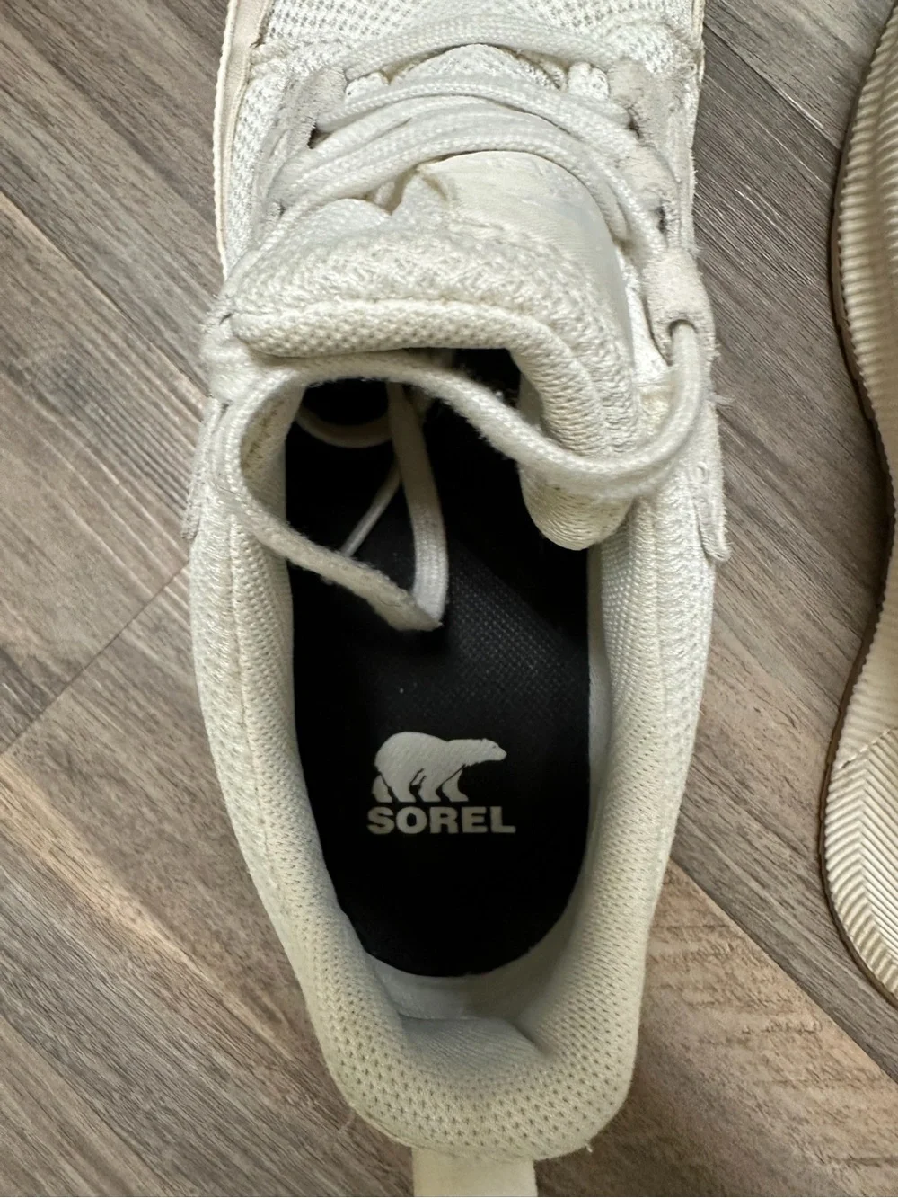 Sorel Out N About III Sneakers